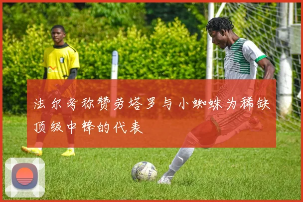 法尔考称赞劳塔罗与小蜘蛛为稀缺顶级中锋的代表